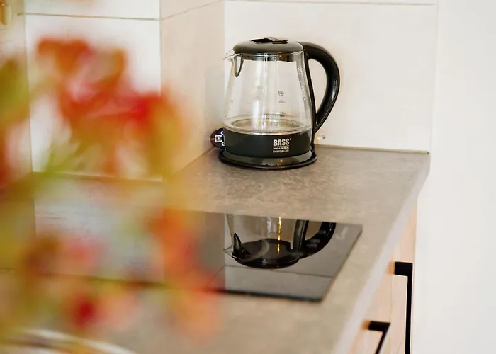 Magic - Galicja Ii דירה זאטור